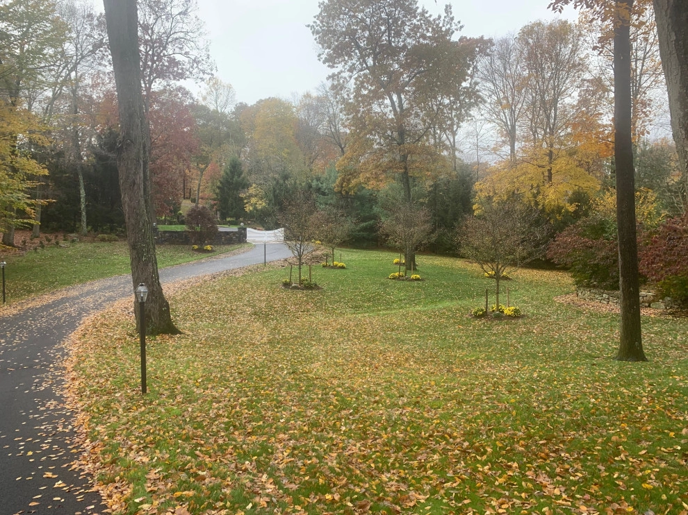 Very Large Jobs by Peter Atkins And Associates., LLC - Photo 6