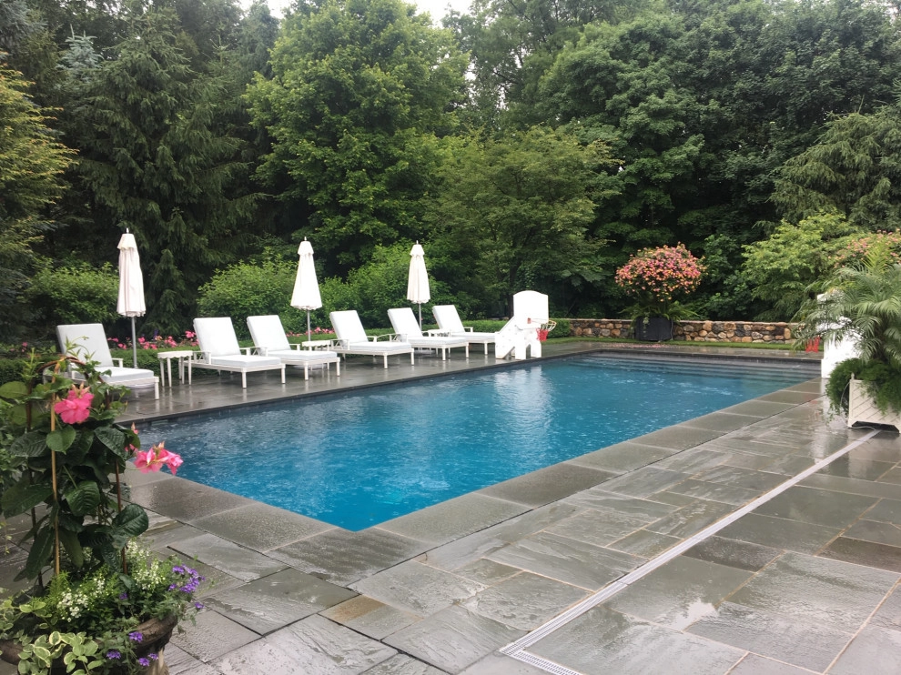 Pools by Peter Atkins And Associates., LLC - Photo 2