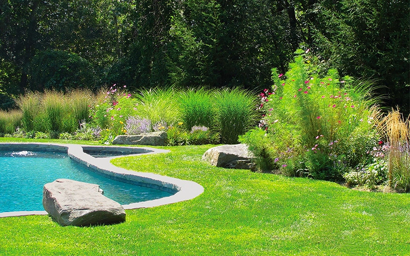Pools by Peter Atkins And Associates., LLC - Photo 8
