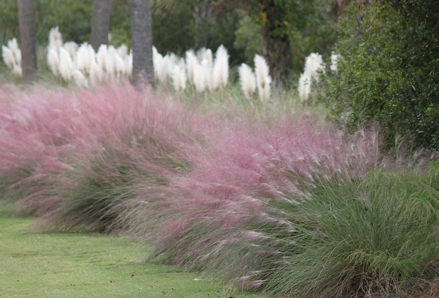Perennial Gardens by Peter Atkins And Associates., LLC - Photo 38