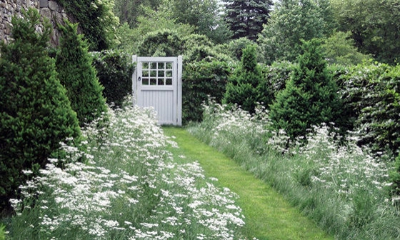 Perennial Gardens by Peter Atkins And Associates., LLC - Photo 47
