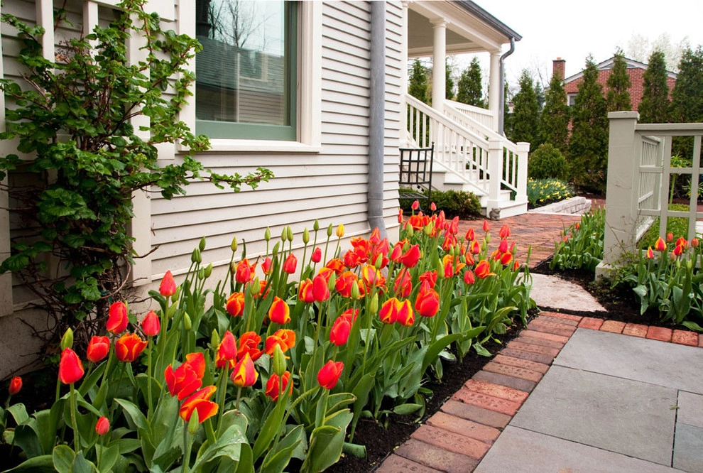 Spring Bulbs by Peter Atkins And Associates., LLC - Photo 11