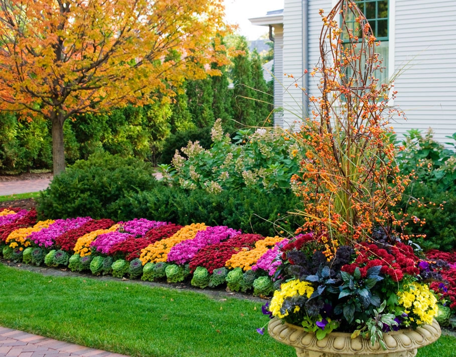 Beds and Borders - Annuals by Peter Atkins And Associates., LLC - Photo 8