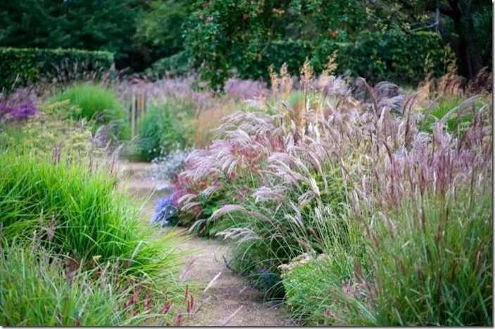 Perennial Gardens by Peter Atkins And Associates., LLC - Photo 44