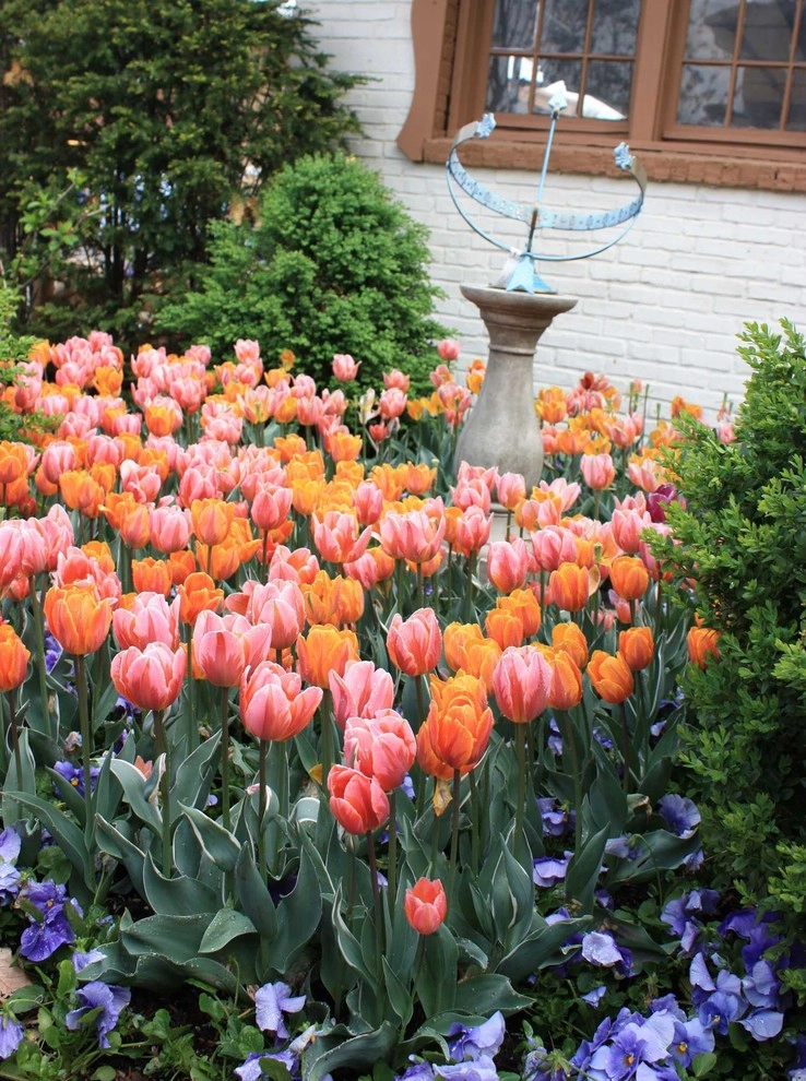 Spring Bulbs by Peter Atkins And Associates., LLC - Photo 3