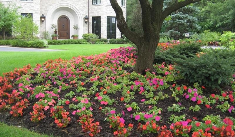 Beds and Borders - Annuals by Peter Atkins And Associates., LLC - Photo 7