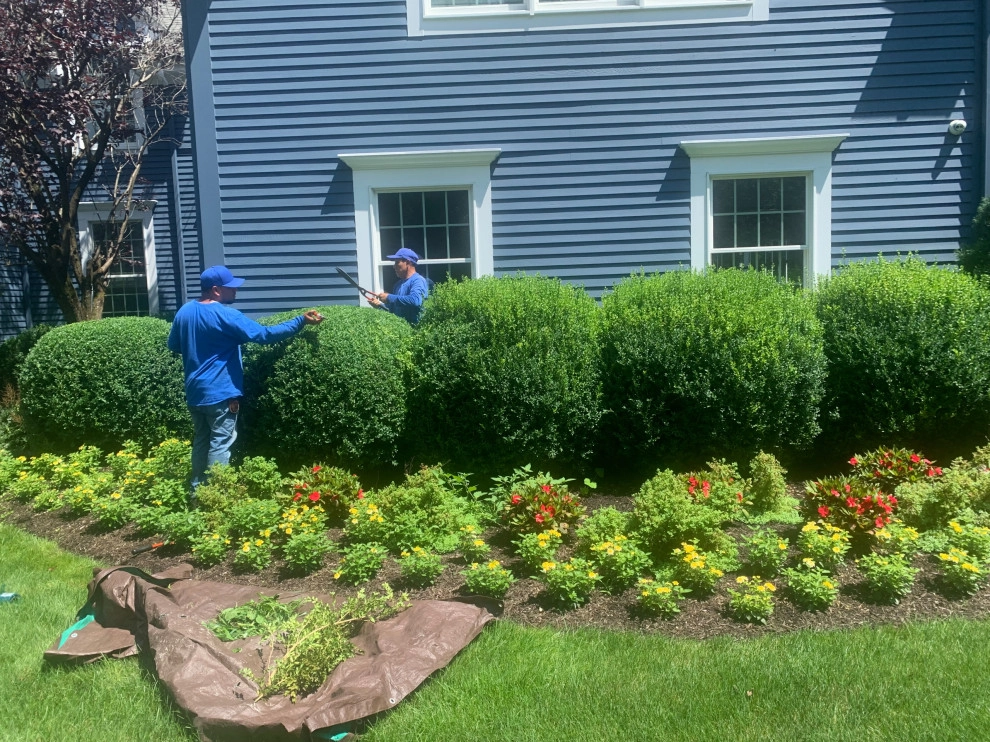 Ornamental Pruning by Peter Atkins And Associates., LLC - Photo 6
