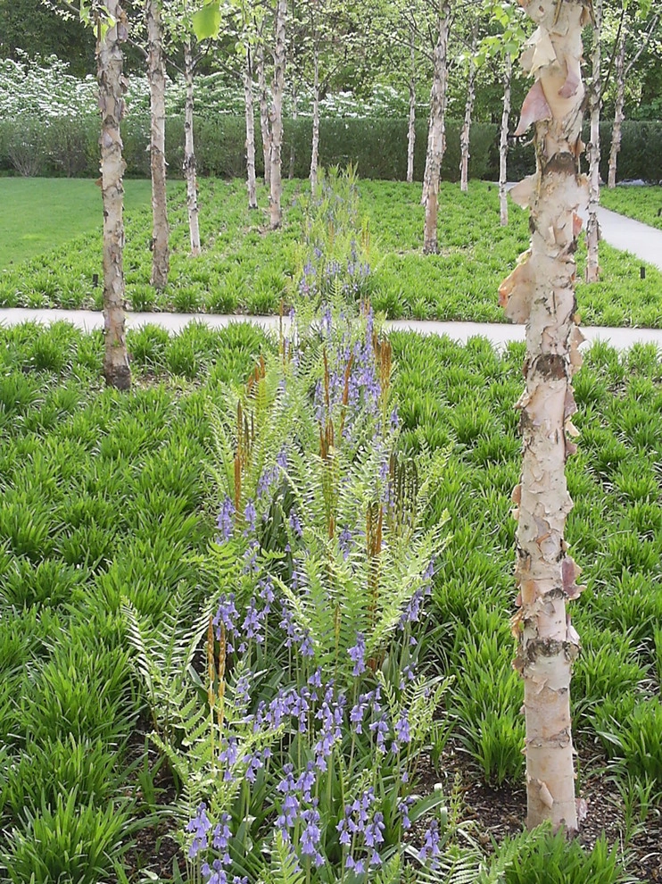 Landscape Installations by Peter Atkins And Associates., LLC - Photo 3