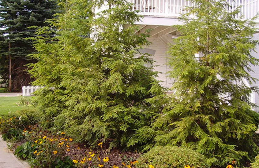 Our Efforts by Delventhal Landscaping & Nursery Inc - Photo 11