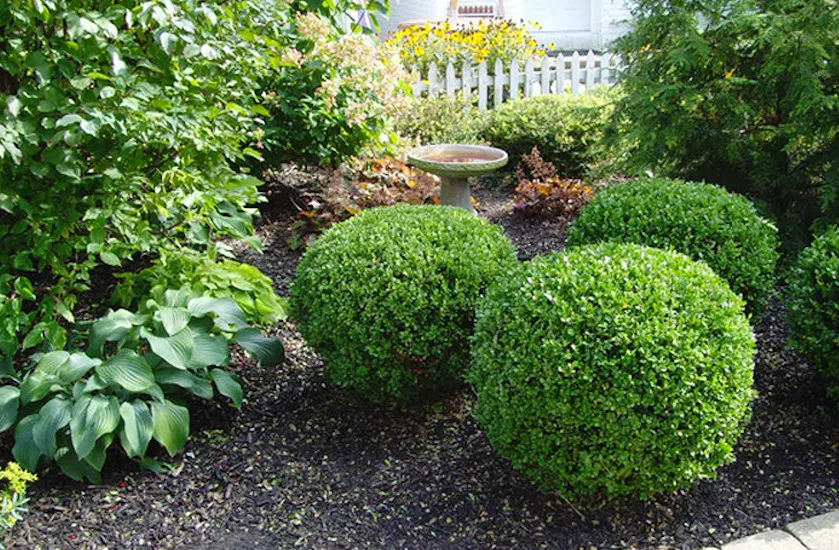 Delventhal Landscaping & Nursery Inc - Photo 12