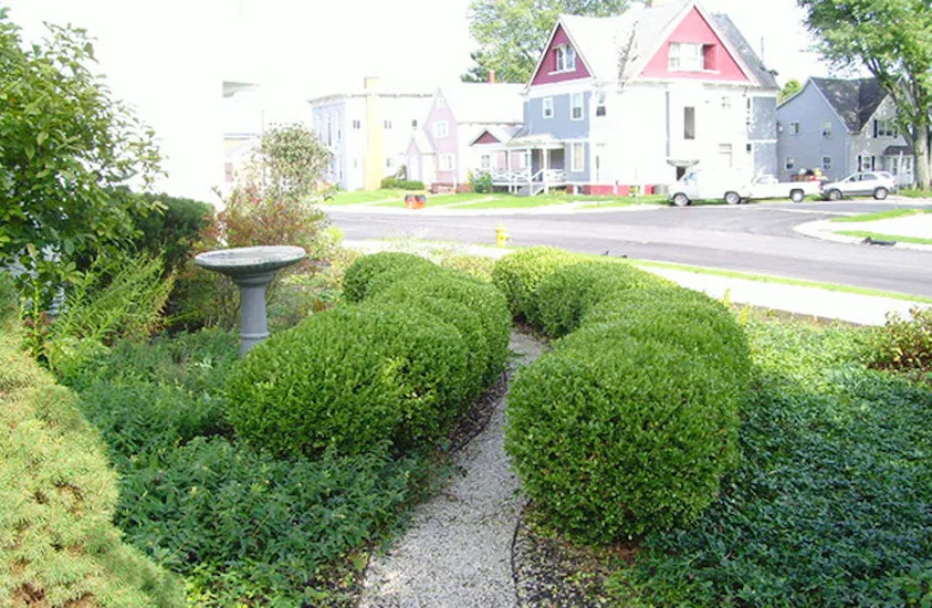 Delventhal Landscaping & Nursery Inc - Photo 9