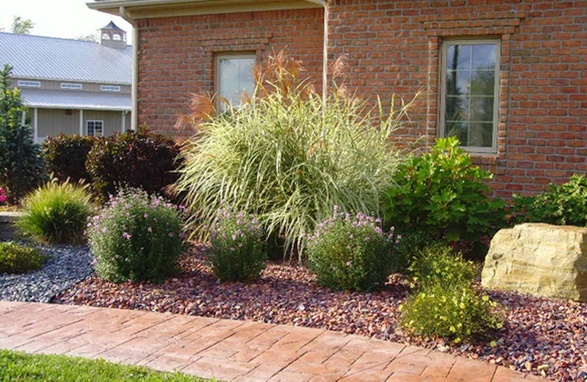 Delventhal Landscaping & Nursery Inc - Photo 8