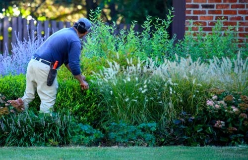 Estate Landscape Maintenace by Peter Atkins And Associates., LLC - Photo 2