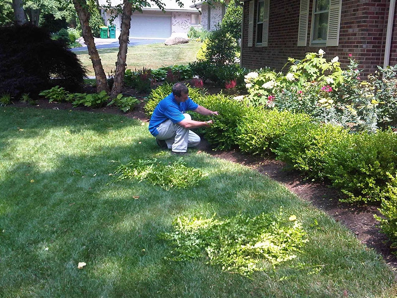 Estate Landscape Maintenace by Peter Atkins And Associates., LLC - Photo 28