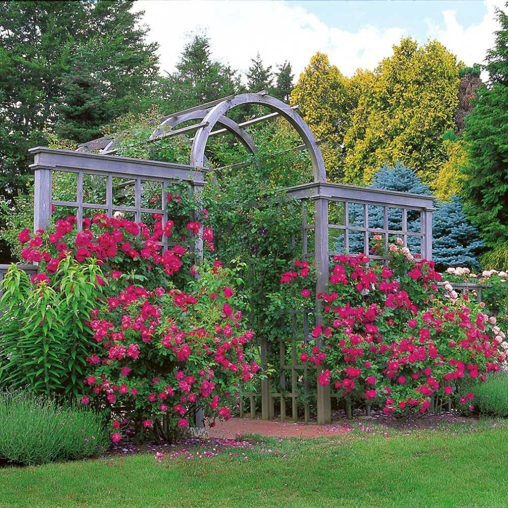 Roses Gardens by Peter Atkins And Associates., LLC - Photo 5