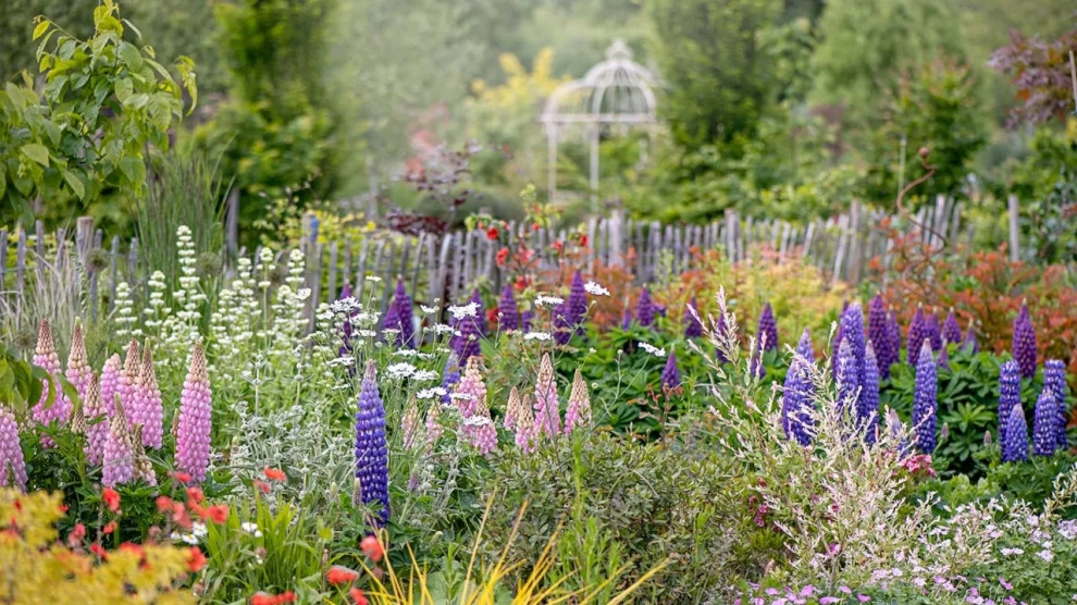Perennial Gardens by Peter Atkins And Associates., LLC - Photo 30