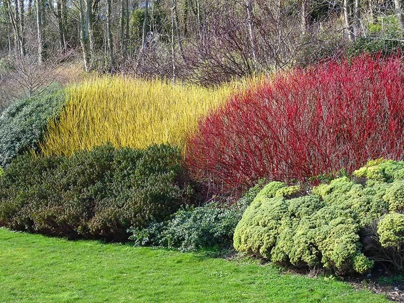 Perennial Gardens by Peter Atkins And Associates., LLC - Photo 23