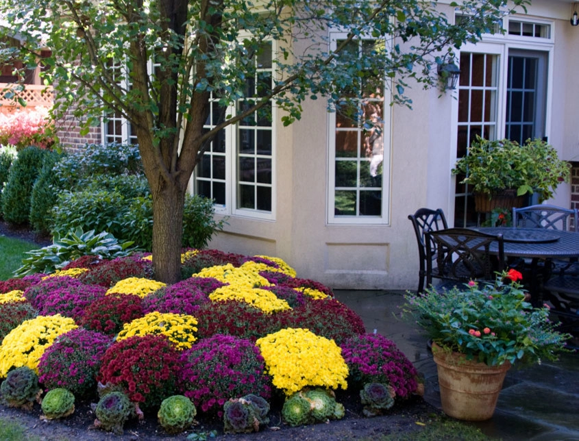 Beds and Borders - Annuals by Peter Atkins And Associates., LLC - Photo 12