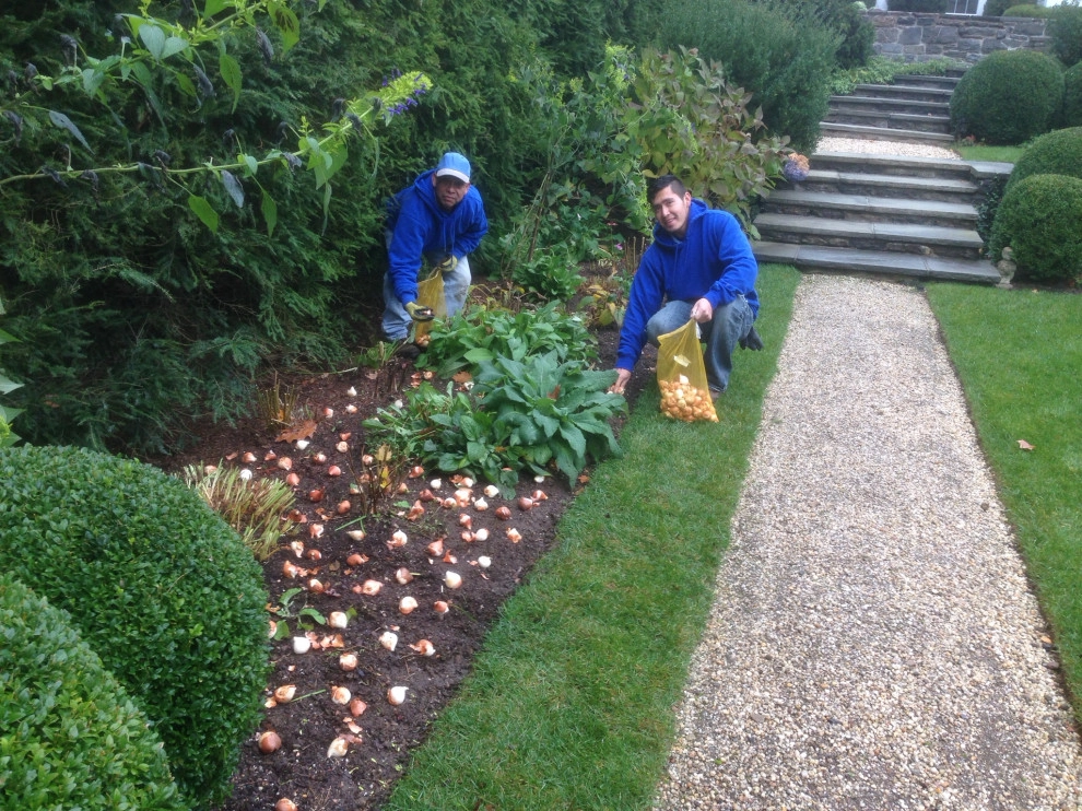 Beds and Borders - Annuals by Peter Atkins And Associates., LLC - Photo 3