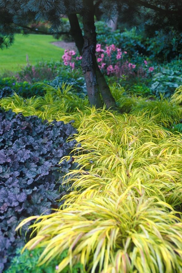 Back Yard Gardens by Peter Atkins And Associates., LLC - Photo 25