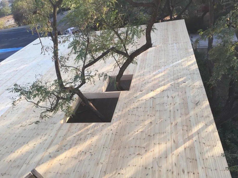 Our Efforts by Turtle Woodworks - Photo 65