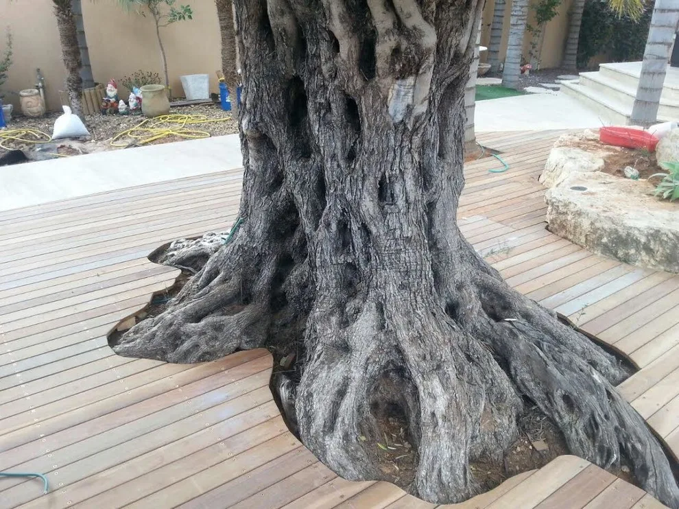 Our Efforts by Turtle Woodworks - Photo 50