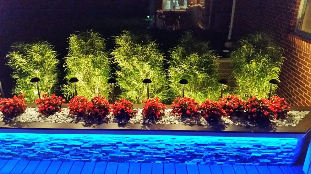 Lighting Innovations by Kris Saks Fine Decks - Photo 8