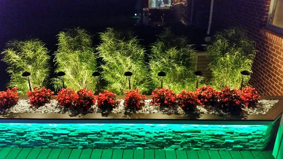Lighting Innovations by Kris Saks Fine Decks - Photo 11
