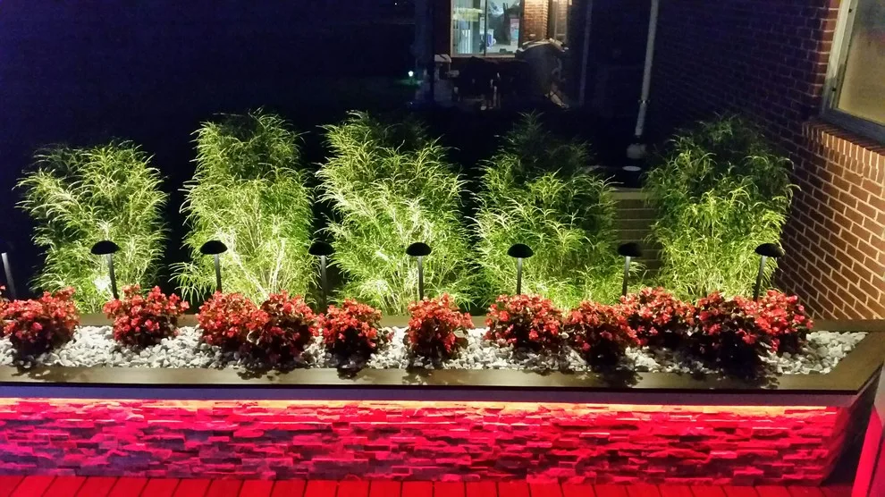 Lighting Innovations by Kris Saks Fine Decks - Photo 3