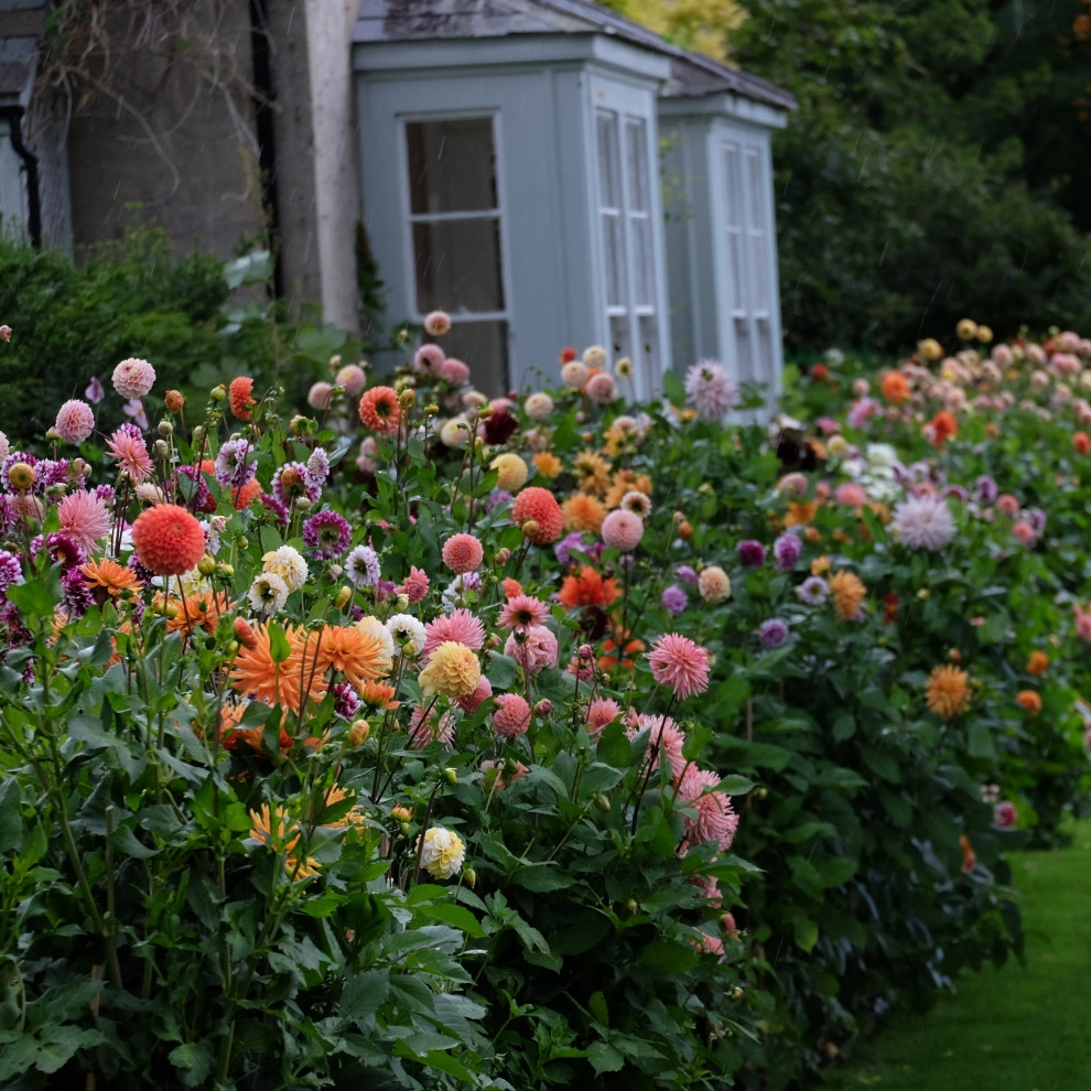Perennial Gardens by Peter Atkins And Associates., LLC - Photo 33