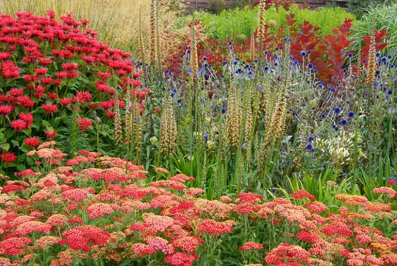 Perennial Gardens by Peter Atkins And Associates., LLC - Photo 10