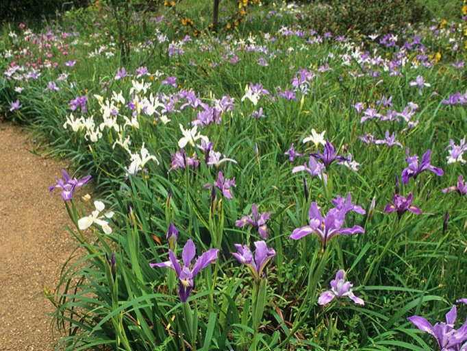 Perennial Gardens by Peter Atkins And Associates., LLC - Photo 16