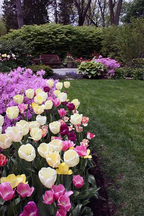 Spring Bulbs by Peter Atkins And Associates., LLC - Photo 12
