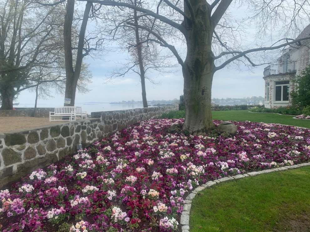 Beds and Borders - Annuals by Peter Atkins And Associates., LLC - Photo 9