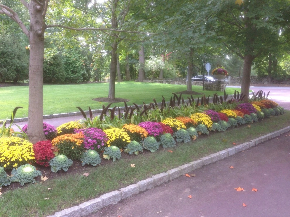 Beds and Borders - Annuals by Peter Atkins And Associates., LLC - Photo 5