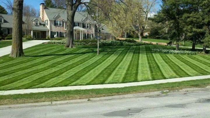 Estate Landscape Maintenace by Peter Atkins And Associates., LLC - Photo 11