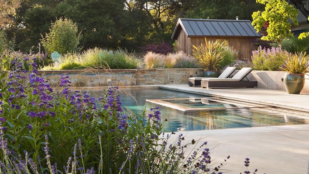 Pools by Peter Atkins And Associates., LLC - Photo 4