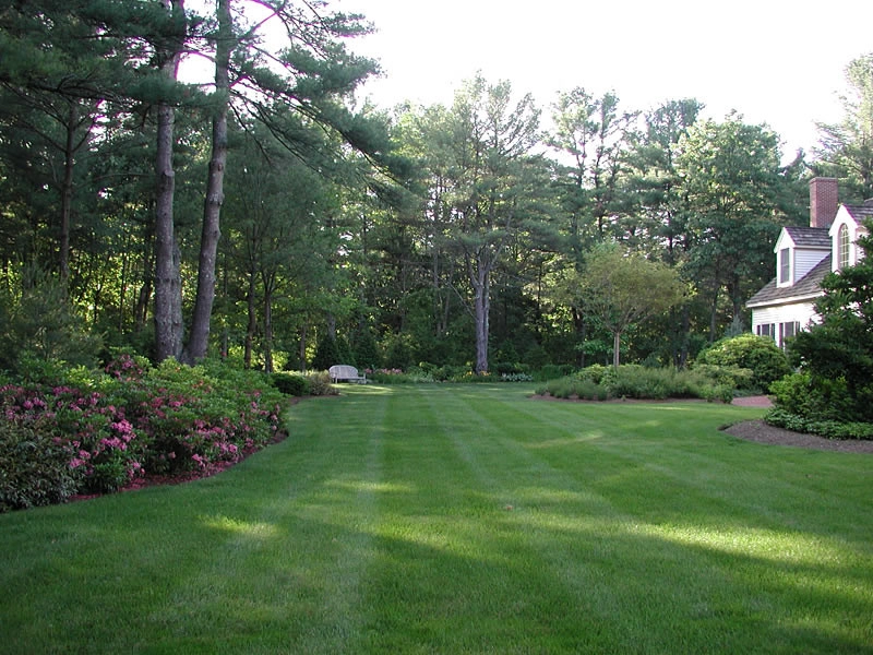 Estate Landscape Maintenace by Peter Atkins And Associates., LLC - Photo 17