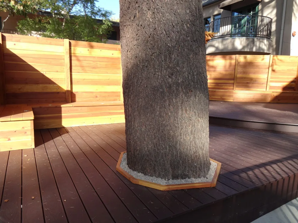 Saint Mark's School Outdoor Learning Space by YourDeckBuilder.com - Photo 28