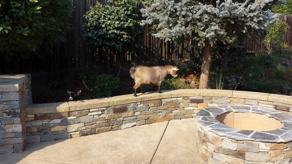 Custom Image Hardscapes - Photo 8