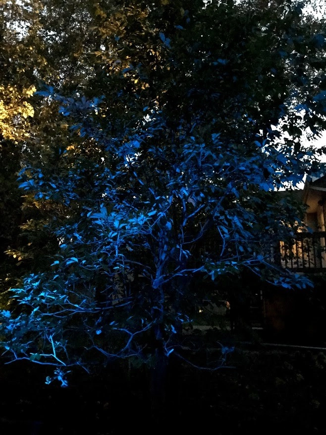 Pfeifer Landscaping - Photo 3