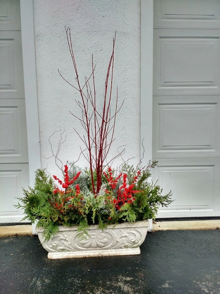 Winter Planters by Pickel Landscape Group - Photo 6