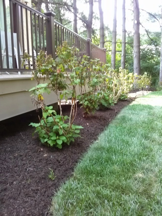 Back Yard Renovation by Pickel Landscape Group - Photo 6