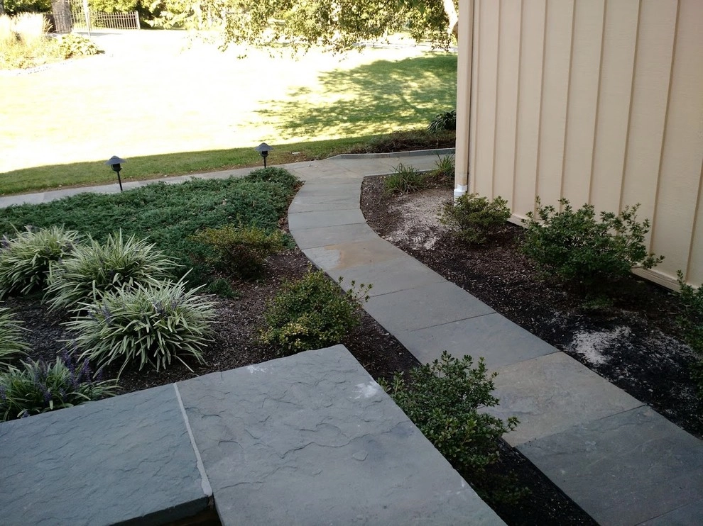 Bluestone Walkway and Terrace by Pickel Landscape Group - Photo 7