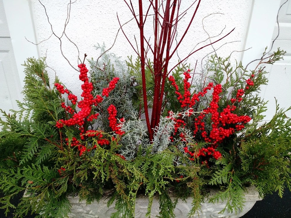Winter Planters by Pickel Landscape Group - Photo 9