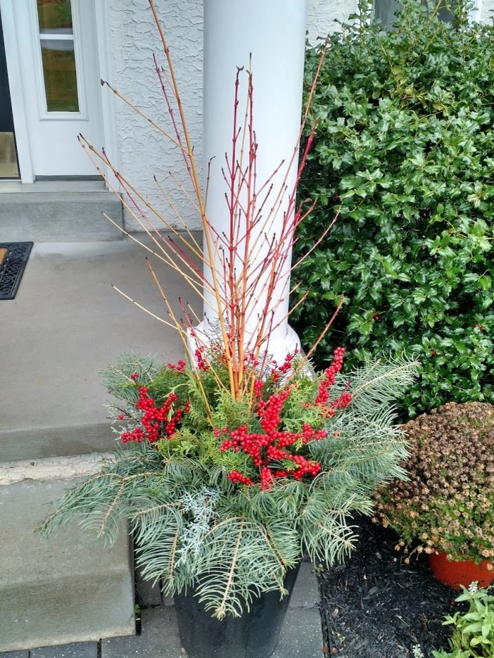 Winter Planters by Pickel Landscape Group - Photo 13