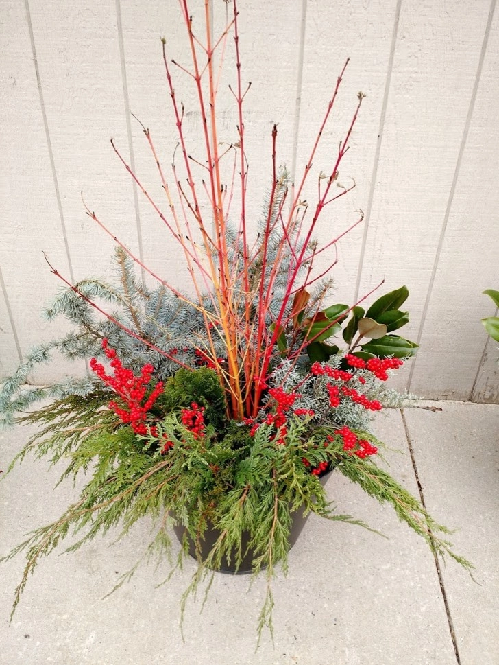 Winter Planters by Pickel Landscape Group - Photo 2