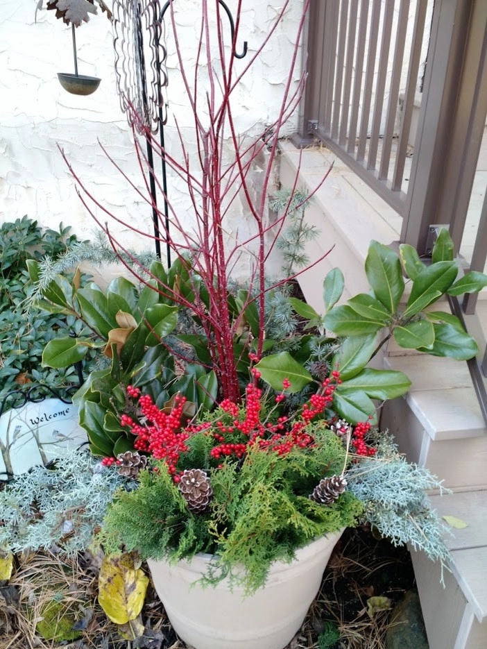 Winter Planters by Pickel Landscape Group - Photo 5