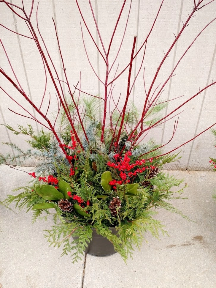 Winter Planters by Pickel Landscape Group - Photo 11
