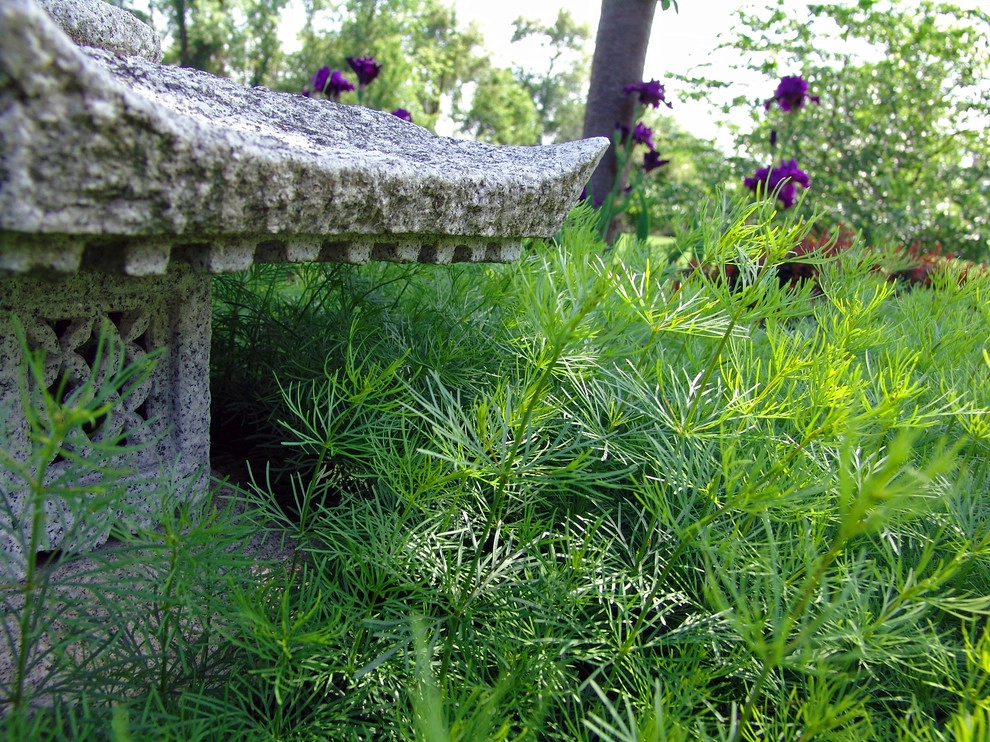 Exterior Home Landscape Design by Pickel Landscape Group - Photo 25